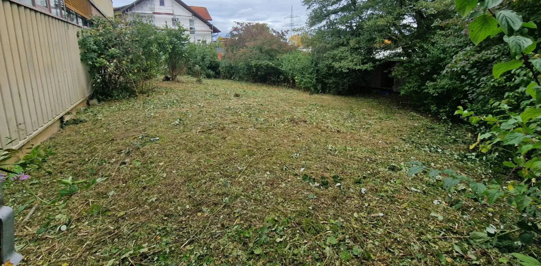 Nachher: Rodung eines verwilderten Grundstücks