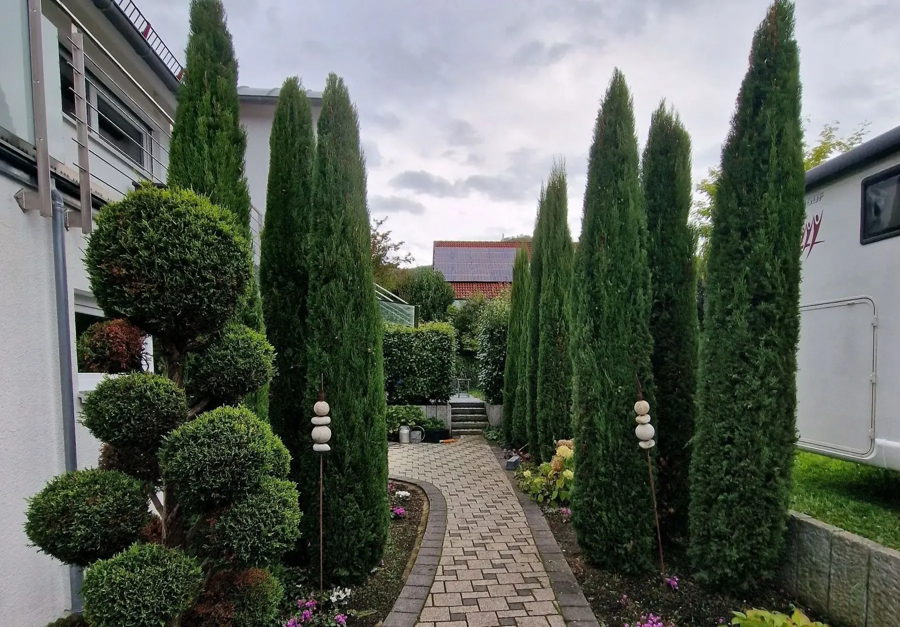 Formgeschnittene Zypressen an einem Gartenweg in Owen